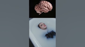 Another Best Brain food to BOOST YOUR Brain function #shorts #nootropic