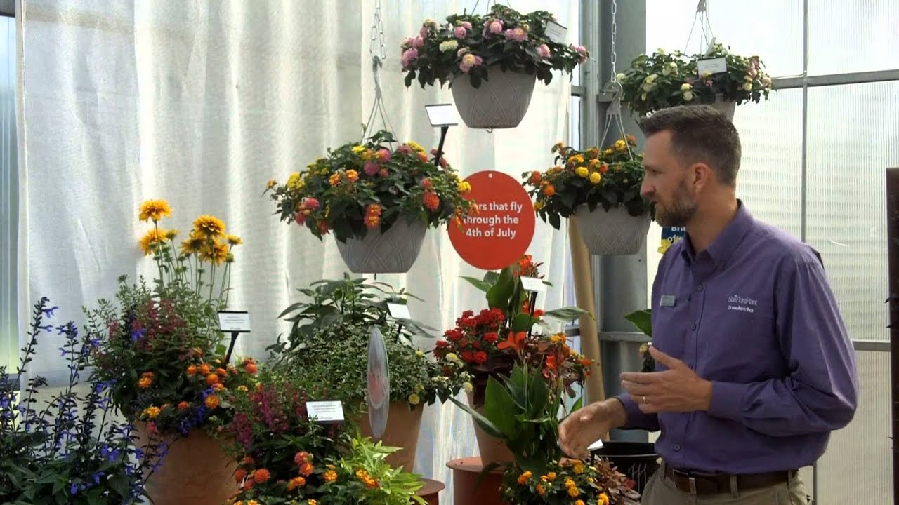 playstation 3 Extend Your Season with Heat-Loving Plants from Ball FloraPlant
