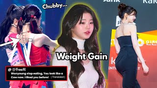 Fans Reaction To Weight Gain Of Ive Wonyoung