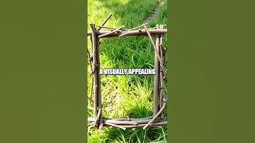 Creating a Rustic Twig Picture Frame