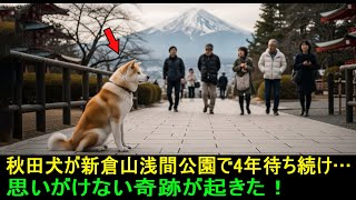 秋田犬が新倉山浅間公園で4年間待ち続けた──そして“誰も想像できなかった奇跡が起きた”...!