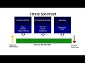 Stress and Our Immune Systems