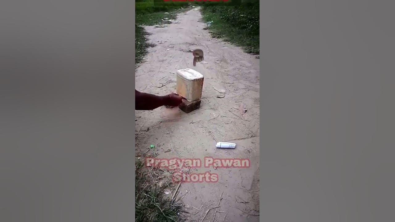 Finely Patakhe mil hi Gye Ind Vs Pak short comedy WhatsApp Status video