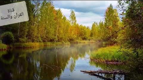 💓ارح قلبك💓تلاوة هادئة تريح القلب❤️سورة آل عمران كاملة بصوت هادئ 🎧