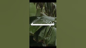 تلاوة لفضيلة الشيخ بدر التركي