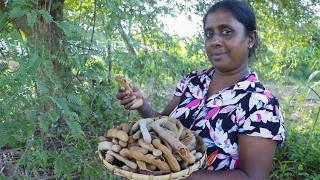 Sweet tamarind ! This is how to make an appetizing tamarind rasam