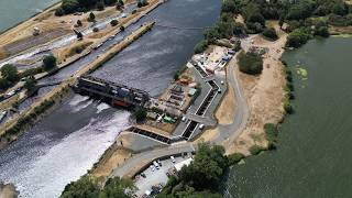 £130m spent on animal crossings - including £12m fish motorway | SWNS