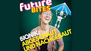 Bionik einfach erklärt – Erfindungen aus der Natur
