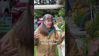 8 things we learned from a Kodiak gardener | INDIE ALASKA
What gardening wisdom can you pass along in the comments? Marion Owen has been learning about gardening and composting in Alaska for years. We visited her garden in Kodiak, Alaska and she shared some nuggets of wisdom with the Indie Alaska team.
INDIE ALASKA is an original video series produced by Alaska Public Media in partnership with PBS Digital Studios. The videos capture the diverse and colorful lifestyles of everyday Alaskans at work and at play. Together, these stories present a fresh and authentic look at living in Alaska.
Click on the Subscribe button above to get notified when new episodes are available.
Consider supporting Alaska Public Media and ensure storytelling like INDIE ALASKA continues into the future. Make a donation today at: https://www.alaskapublic.org/donate 8 things we learned from a Kodiak gardener | INDIE ALASKA