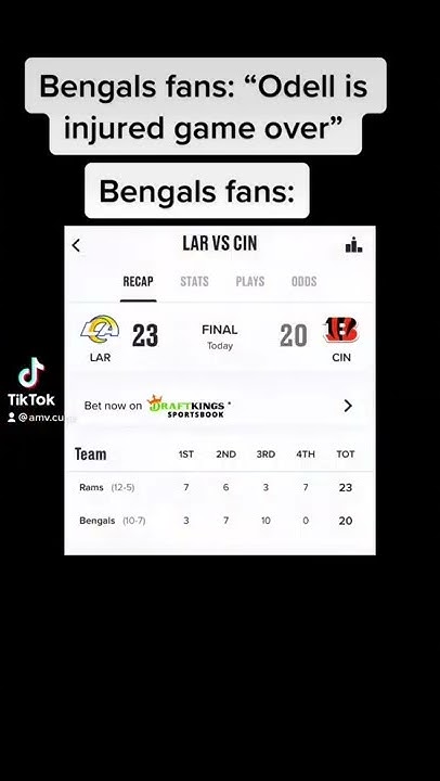 When Usopp Found Out The Bengals Lost After He Bet 100 Million Berries when-usopp-found-out-the-bengals-lost-after-he-bet-100-million-berries