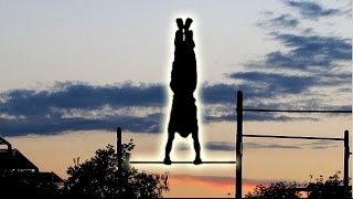 Турник Это Здорово УРОК #15 Табуретка вперёд и назад Турник Это Здорово УРОК #15 Табуретка вперёд и назад