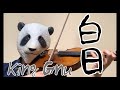 白日/King Gnu(バイオリン)弾いてみたJpop violin cover