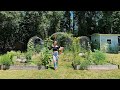 Spring Garden Tour: 4| North Florida Gardening