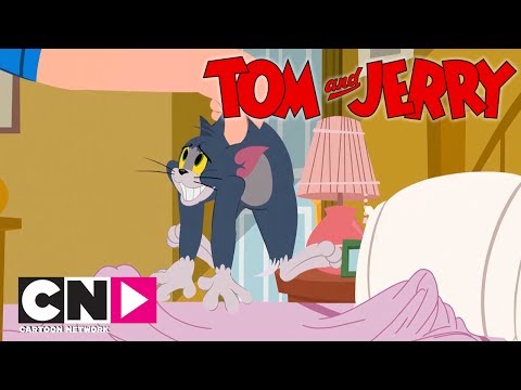 Tom & Jerry Show I Yeni Yatak I Cartoon Network Türkiye