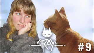 видео: ФИНАЛ! STRAY картинка: ФИНАЛ! STRAY
