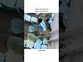 Messi's fan gone crazy in India🔥😭#protest#messi#kolkata#stadium#fire#police#shaadi#ronaldo#fyp#viral