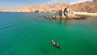 Baja Paradise: Sea of Cortez