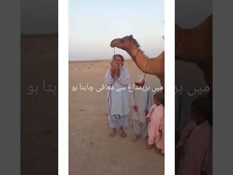 یا اللہ میرے ملک رحم فرما اور انصاف کا بول بالا فرما Imrankhan Viral Arshadsharif