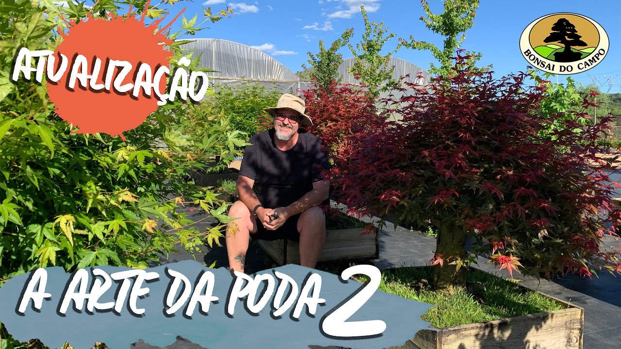 ACER, A Arte da poda 2, no BONSAI