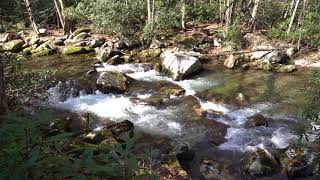 Sony a7iii S&Q Stream