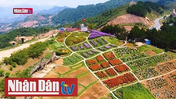 Khám phá đèo Pha Đin và thung lũng ngàn hoa