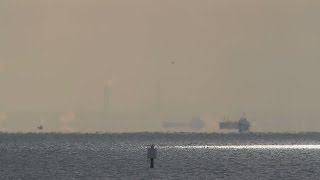 大型船も〝浮上〟　東京湾に蜃気楼