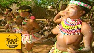 Bailes de Mujeres Zulú | Tribu Africana