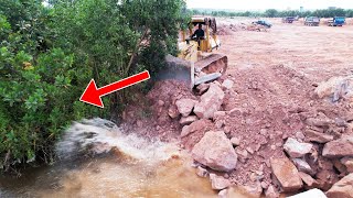 Amazing! Good Activity Clearing Mud & Land Filling Process By #Trucks & #Dozers Showing Skills