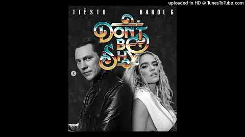 Tiësto x Karol G - Don't Be Shy (Fernando Rodríguez Latin Remix)