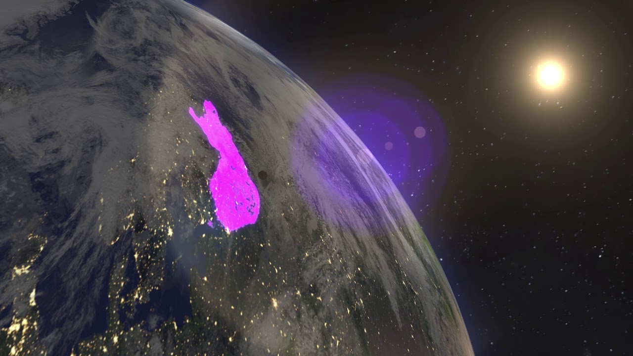 Jellyjortikka - Black Edition