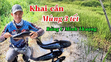 Khai cần đụng liền 2 Hugo đen thui // Câu cá lóc rừng U Minh Thượng #huukhuynhkiengiang (tập 182)