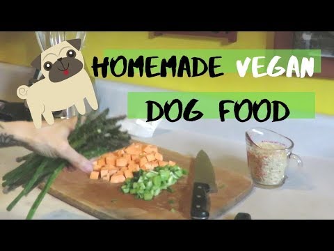 homemade-vegan-dog-food!