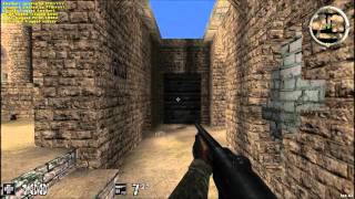 Assault Cube Review