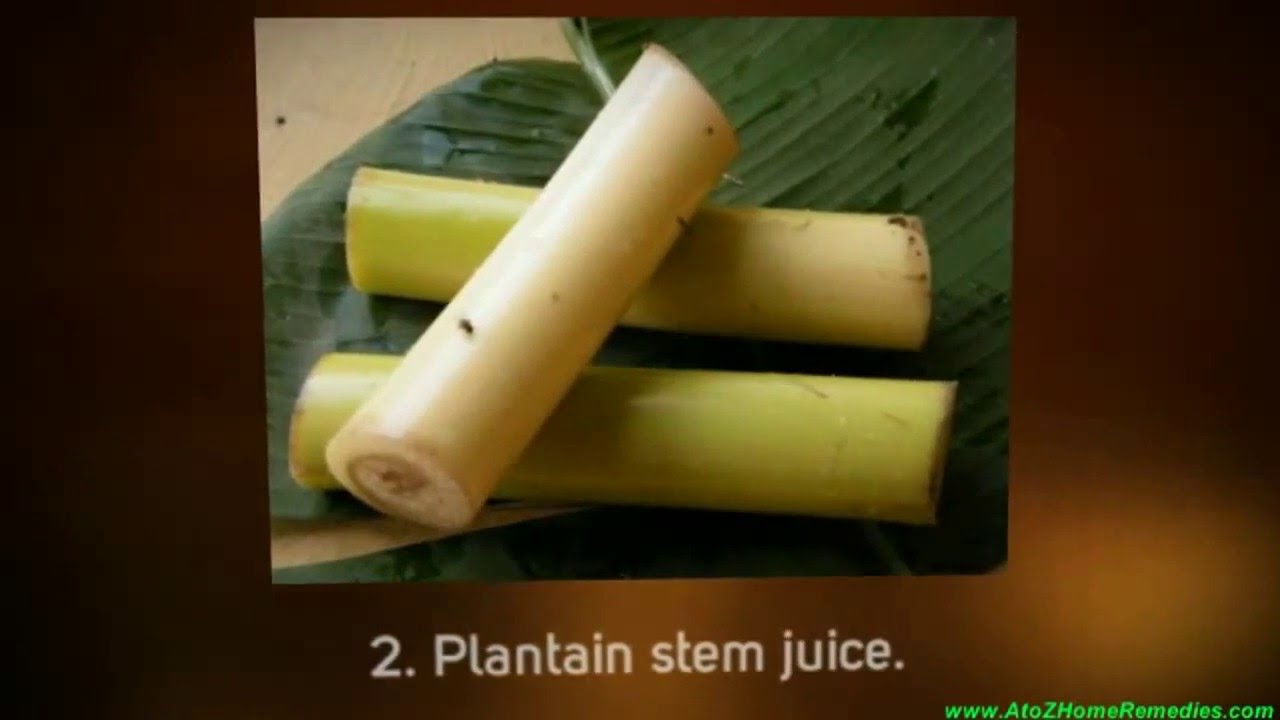 Natural Ayurvedic Home Remedies for Scorpion Stings