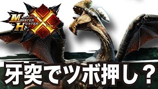 モンハンx クロス 攻略 3 毒 生徒 会長ゲリョスのツボを押してみよう Youtube