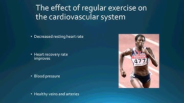 1.2.2 The regular effects of exercise on the cardiovascular system part 2
