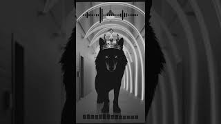 KING BACK | ALCHEMIST x HITBOY TYPE BEAT #music #hiphop #rap #trapsoul