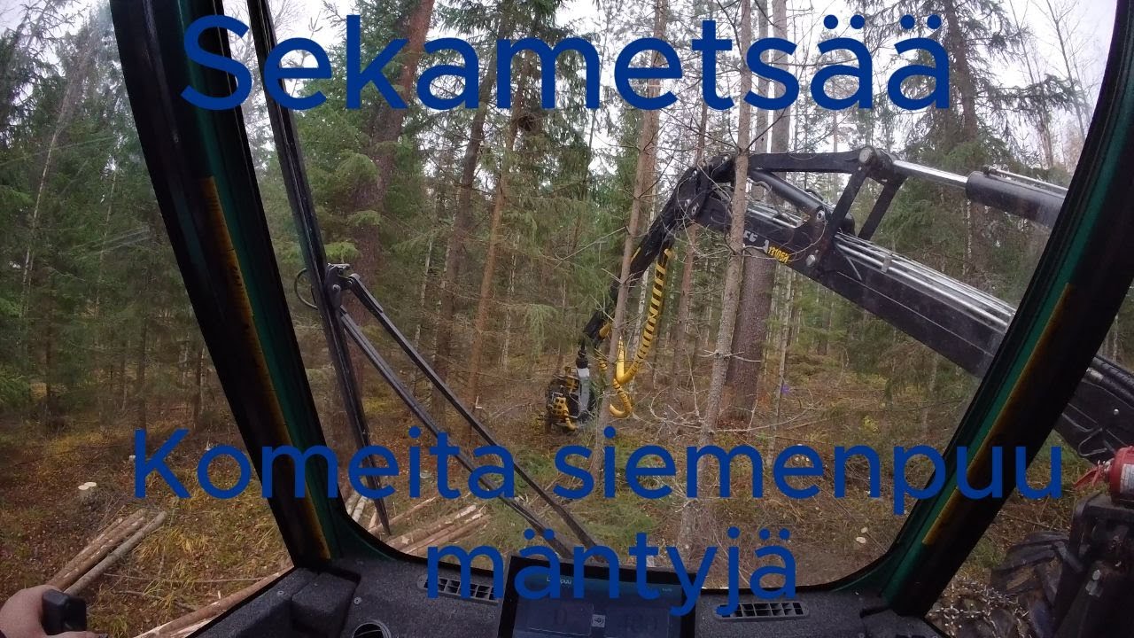 kunnon sekametsän harvennusta Prosilva S3 Kesla 19