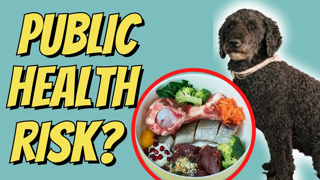 Raw Dog Food is an International Public Health Risk? YouTube