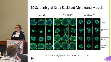 Recent Advances in the Development of In Vitro Models Presentation