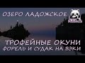 Русская рыбалка 4. Озеро Ладожское. Фарм. Спиннинг. Ультралайт. Окунь. Форель озерная. Судак. Вэки.