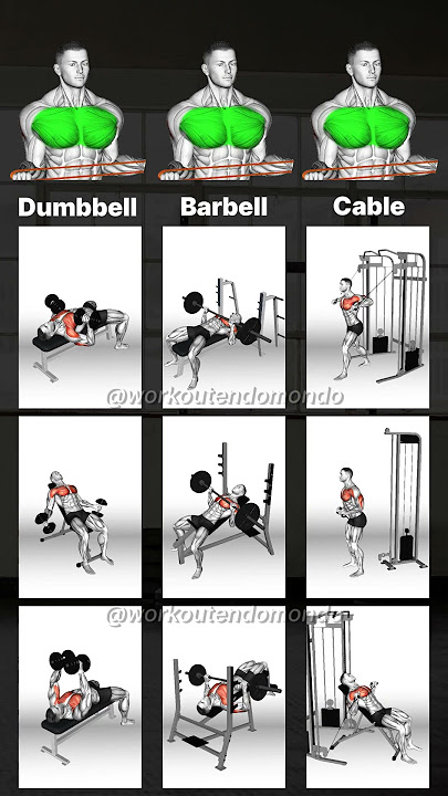 Chest Day: Maximize Gains with the Best Chest Exercises!