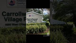 Living in Carrollwood Village Homes in Tampa Florida Living in Carrollwood Village Homes in Tampa Florida