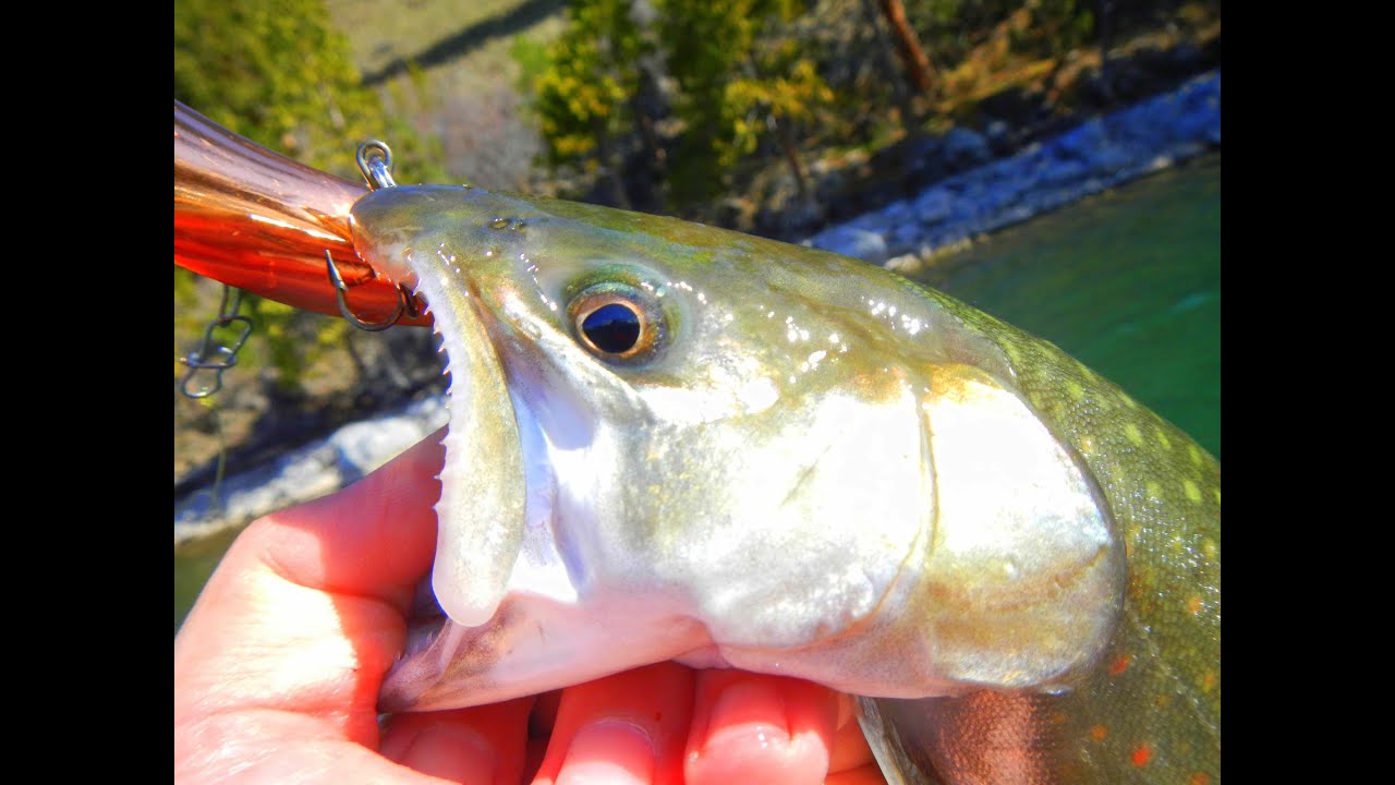 Cascadia Big Fishing Year Kayak Kokanee and Bull Trout Lake Billy Chinook YouTube