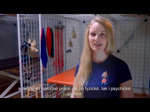 Video: Vyhodnocení Neurorehabilitace Horní Končetiny Pomocí Technologie: Evropská Studie Konsensu Delphi V Rámci Akční Sítě EU COST O Robotice Pro Neurorehabilitaci