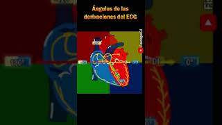 Electrocardiograma interpretación | Ángulos de las derivaciones del ECG | Electrocardiograma