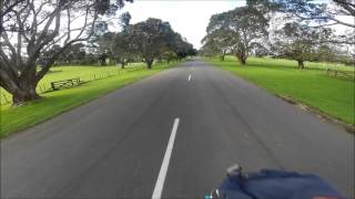 Longboarding Cornwall Park
