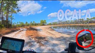 Another Secret Lake in Ocala National Forest | Dual Sport Heaven