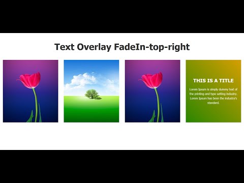 How to Create Image Overlay FadeIn Top Right Text effect and Responsive using only HTML and CSS.