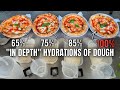 What is Pizza Dough Hydration | In-Depth Explanation Next Level
